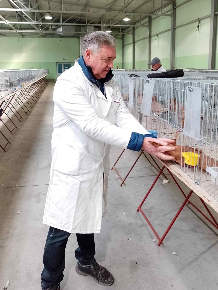 Zdjęcie w galerii na portalu naszraciborz.pl: Regionalna wystawa gołębi rasowych, drobnego inwentarza i królików w Pietrowicach Wielkich wiadomości z regionu