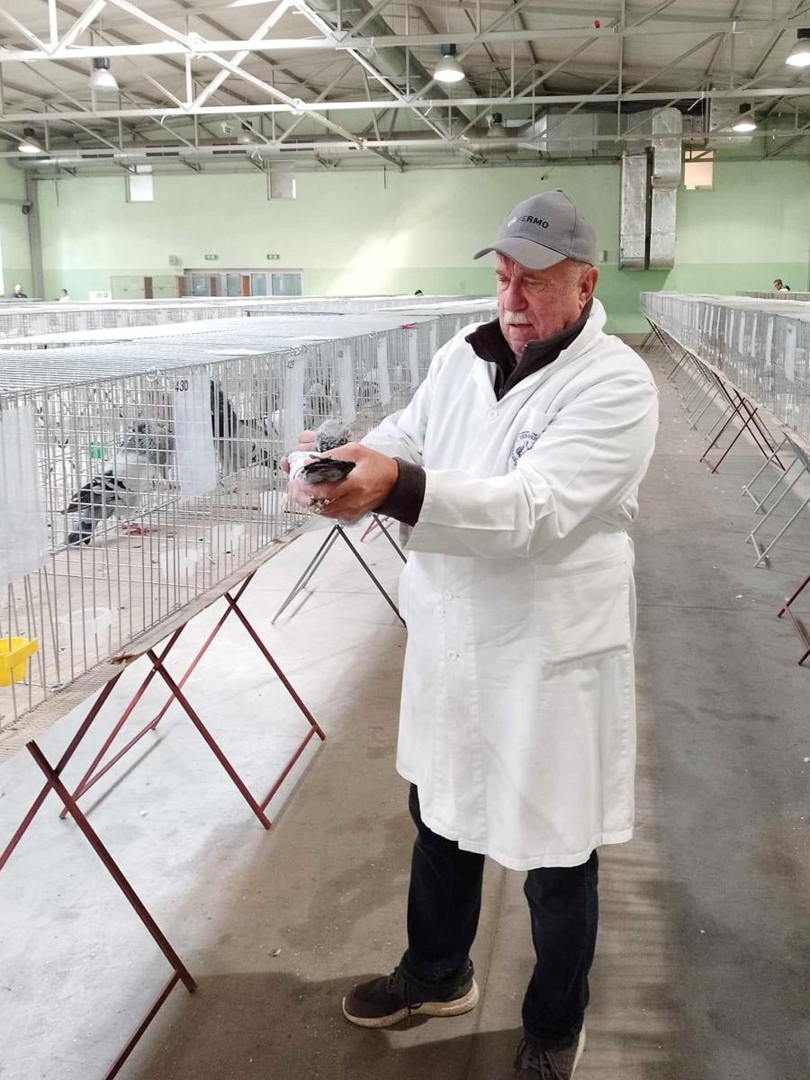 Zdjęcie w galerii na portalu naszraciborz.pl: Regionalna wystawa gołębi rasowych, drobnego inwentarza i królików w Pietrowicach Wielkich wiadomości z regionu