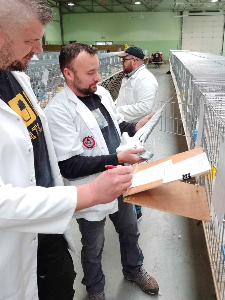 Zdjęcie w galerii na portalu naszraciborz.pl: Regionalna wystawa gołębi rasowych, drobnego inwentarza i królików w Pietrowicach Wielkich wiadomości z regionu