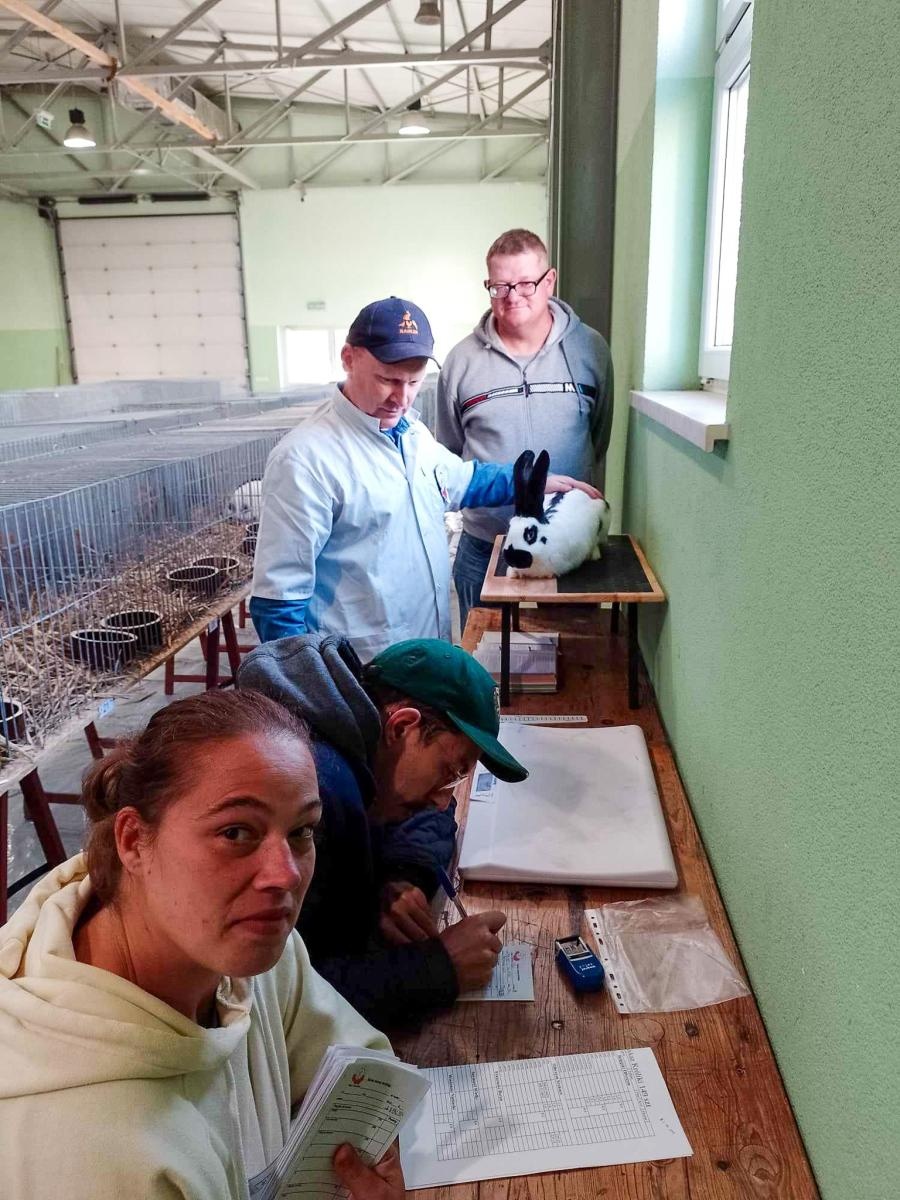 Zdjęcie w galerii na portalu naszraciborz.pl: Regionalna wystawa gołębi rasowych, drobnego inwentarza i królików w Pietrowicach Wielkich wiadomości z regionu