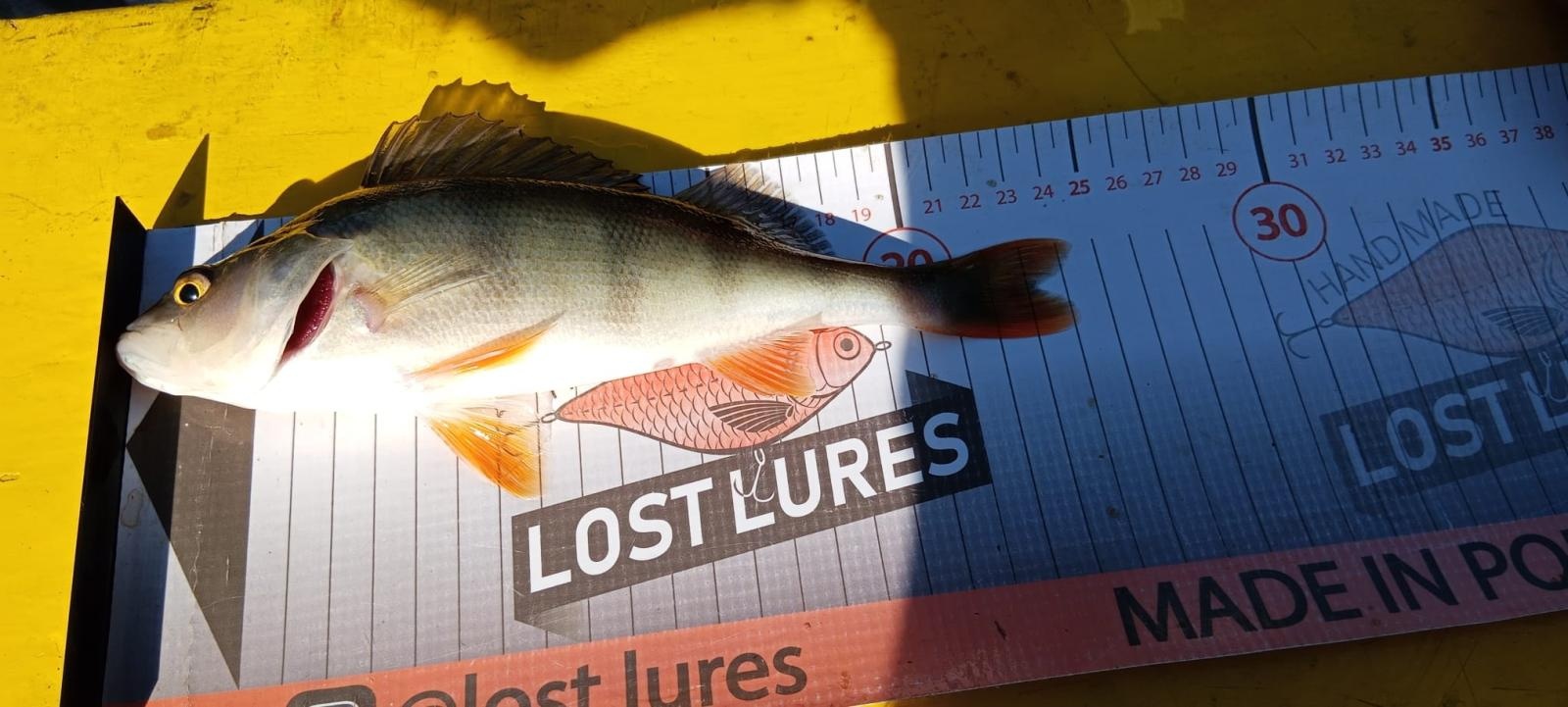 Zdjęcie w galerii na portalu naszraciborz.pl: Rozegrano IX Spinningowe Zawody Drużynowe z Łodzi Babiczok 2024 wiadomości z regionu