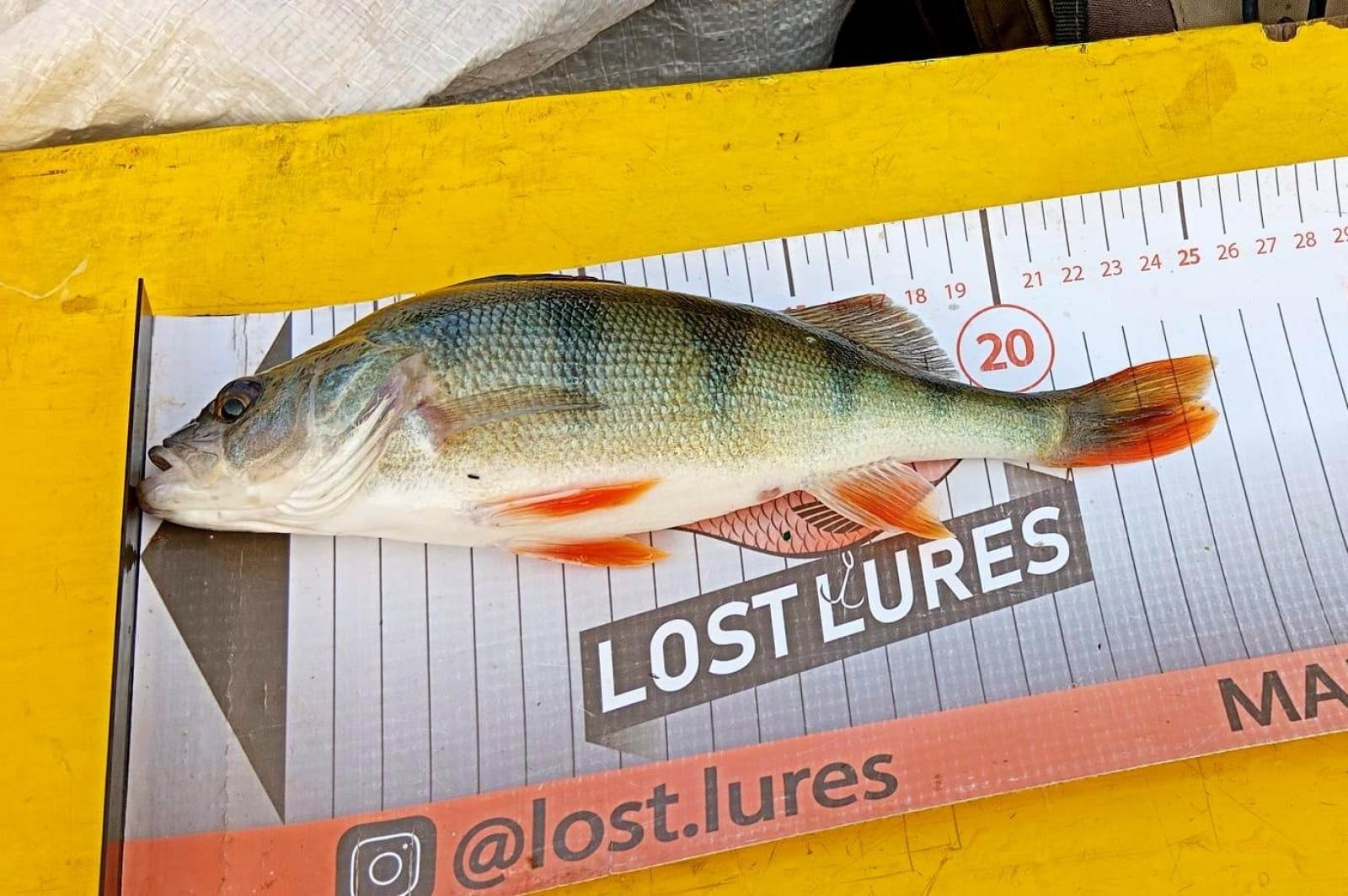 Zdjęcie w galerii na portalu naszraciborz.pl: Rozegrano IX Spinningowe Zawody Drużynowe z Łodzi Babiczok 2024 wiadomości z regionu