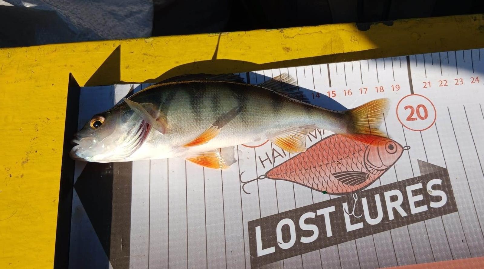 Zdjęcie w galerii na portalu naszraciborz.pl: Rozegrano IX Spinningowe Zawody Drużynowe z Łodzi Babiczok 2024 wiadomości z regionu