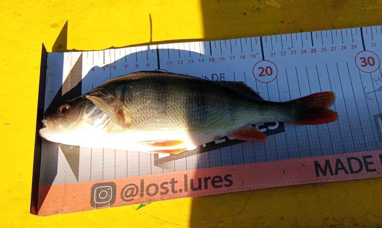 Zdjęcie w galerii na portalu naszraciborz.pl: Rozegrano IX Spinningowe Zawody Drużynowe z Łodzi Babiczok 2024 wiadomości z regionu