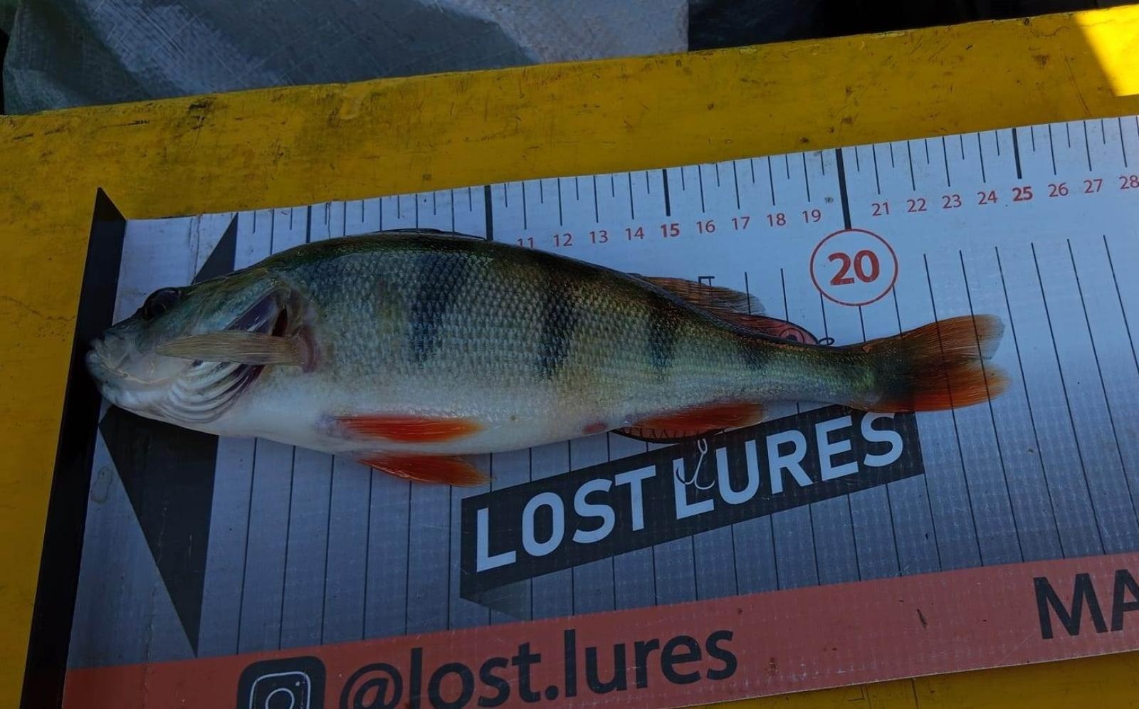 Zdjęcie w galerii na portalu naszraciborz.pl: Rozegrano IX Spinningowe Zawody Drużynowe z Łodzi Babiczok 2024 wiadomości z regionu