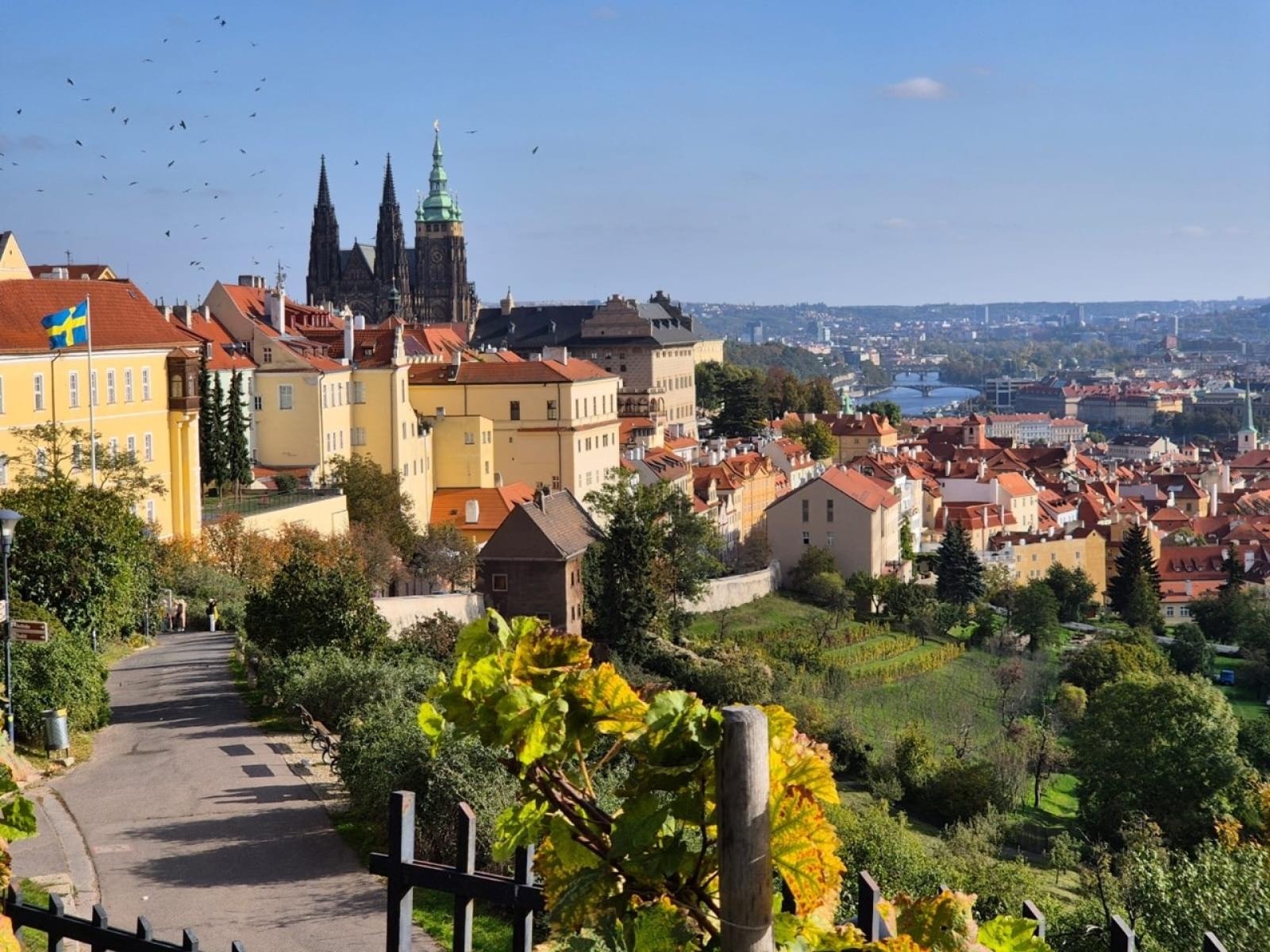 Zdjęcie w galerii na portalu naszraciborz.pl: Praga oczami uczniów Mechanika: Niezapomniana podróż wiadomości z regionu