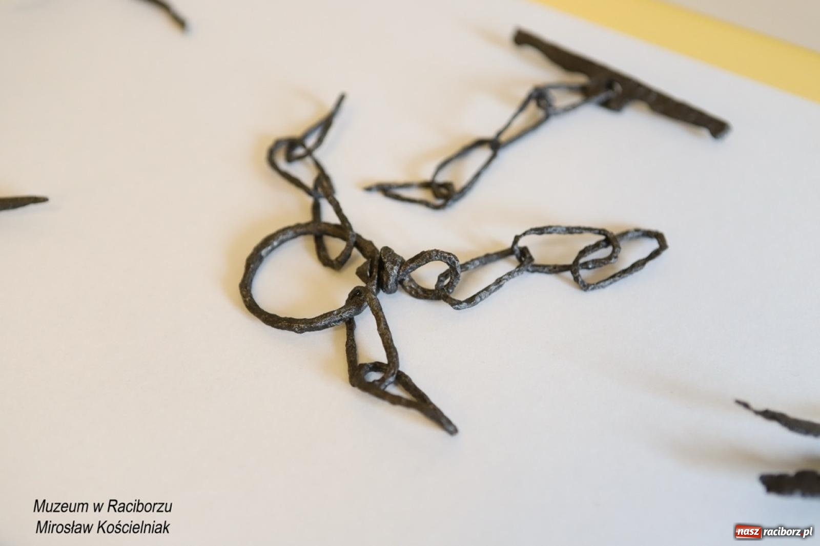 Zdjęcie w galerii na portalu naszraciborz.pl: W Raciborzu o najdawniejszych śladach osadnictwa i odkryciach archeologicznych – konferencja i otwarcie wystawy w Muzeum wiadomości z regionu