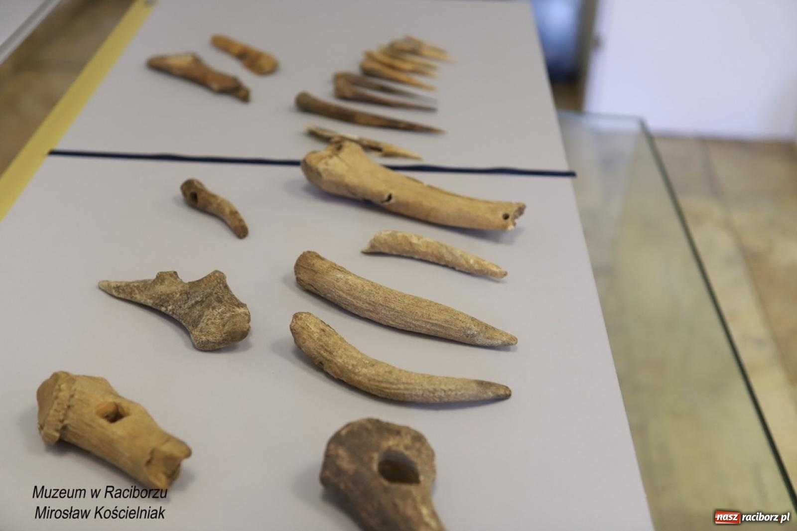 Zdjęcie w galerii na portalu naszraciborz.pl: W Raciborzu o najdawniejszych śladach osadnictwa i odkryciach archeologicznych – konferencja i otwarcie wystawy w Muzeum wiadomości z regionu