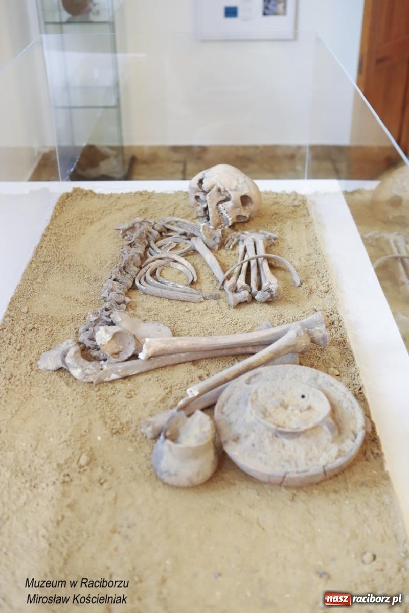 Zdjęcie w galerii na portalu naszraciborz.pl: W Raciborzu o najdawniejszych śladach osadnictwa i odkryciach archeologicznych – konferencja i otwarcie wystawy w Muzeum wiadomości z regionu