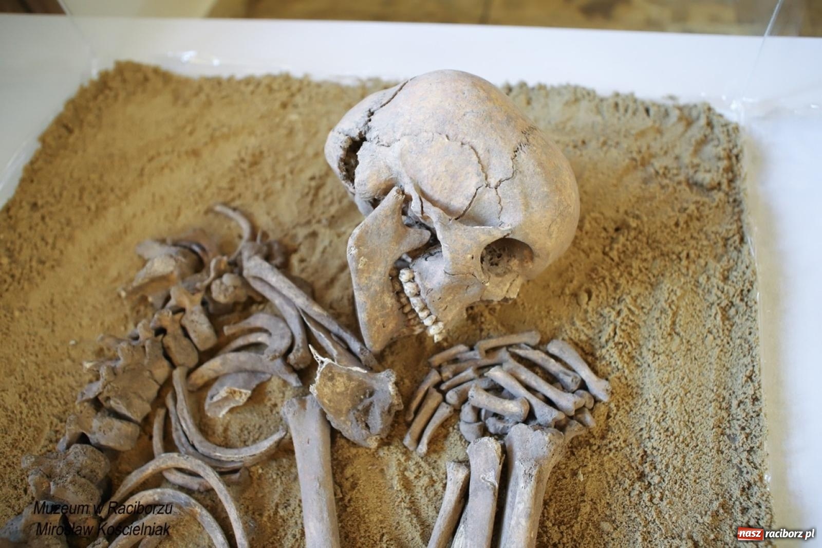 Zdjęcie w galerii na portalu naszraciborz.pl: W Raciborzu o najdawniejszych śladach osadnictwa i odkryciach archeologicznych – konferencja i otwarcie wystawy w Muzeum wiadomości z regionu