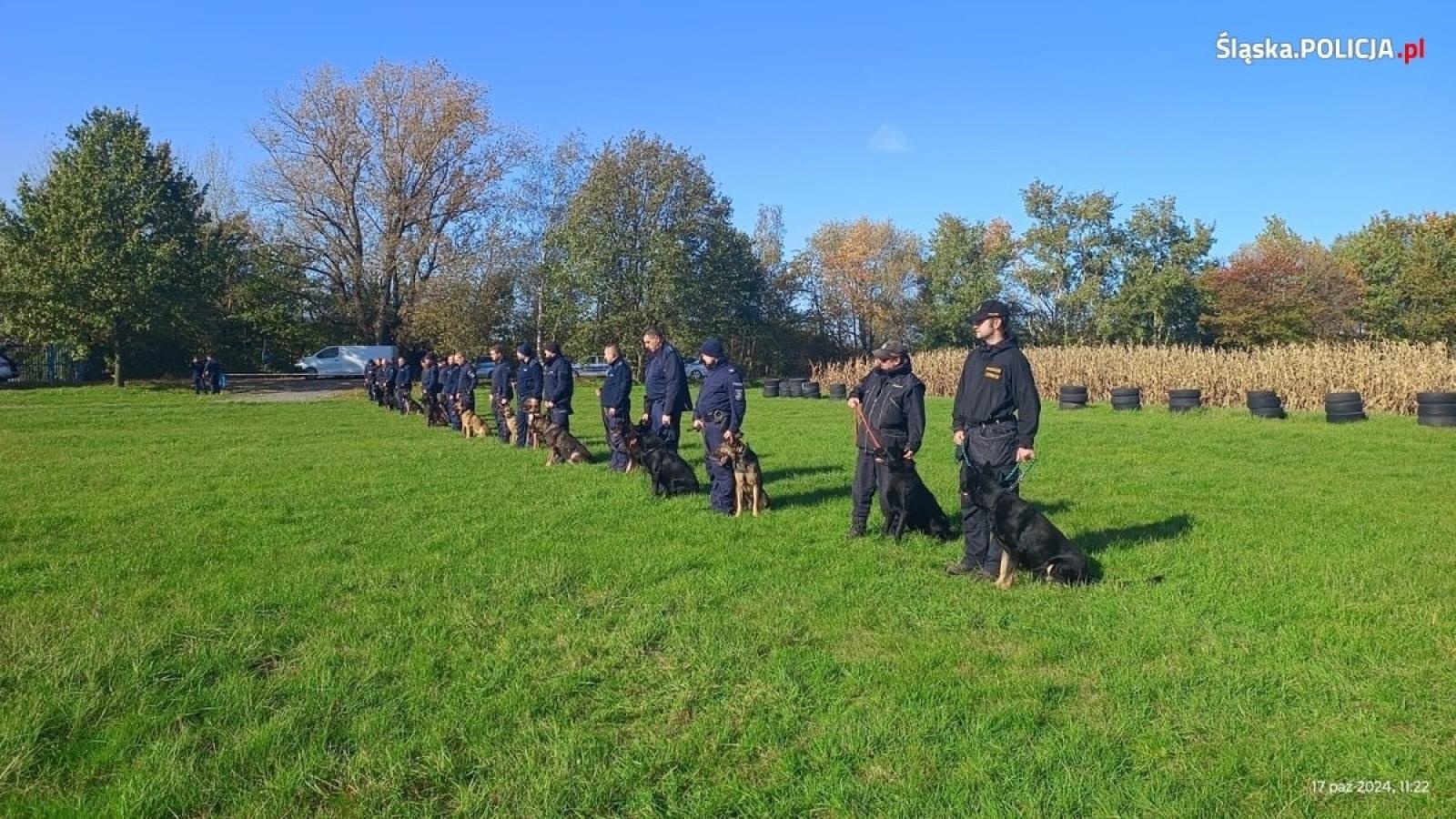 Zdjęcie w galerii na portalu naszraciborz.pl: Warsztaty szkoleniowe z czeskimi policjantami w ramach polsko-czeskiej współpracy kynologicznej wiadomości z regionu