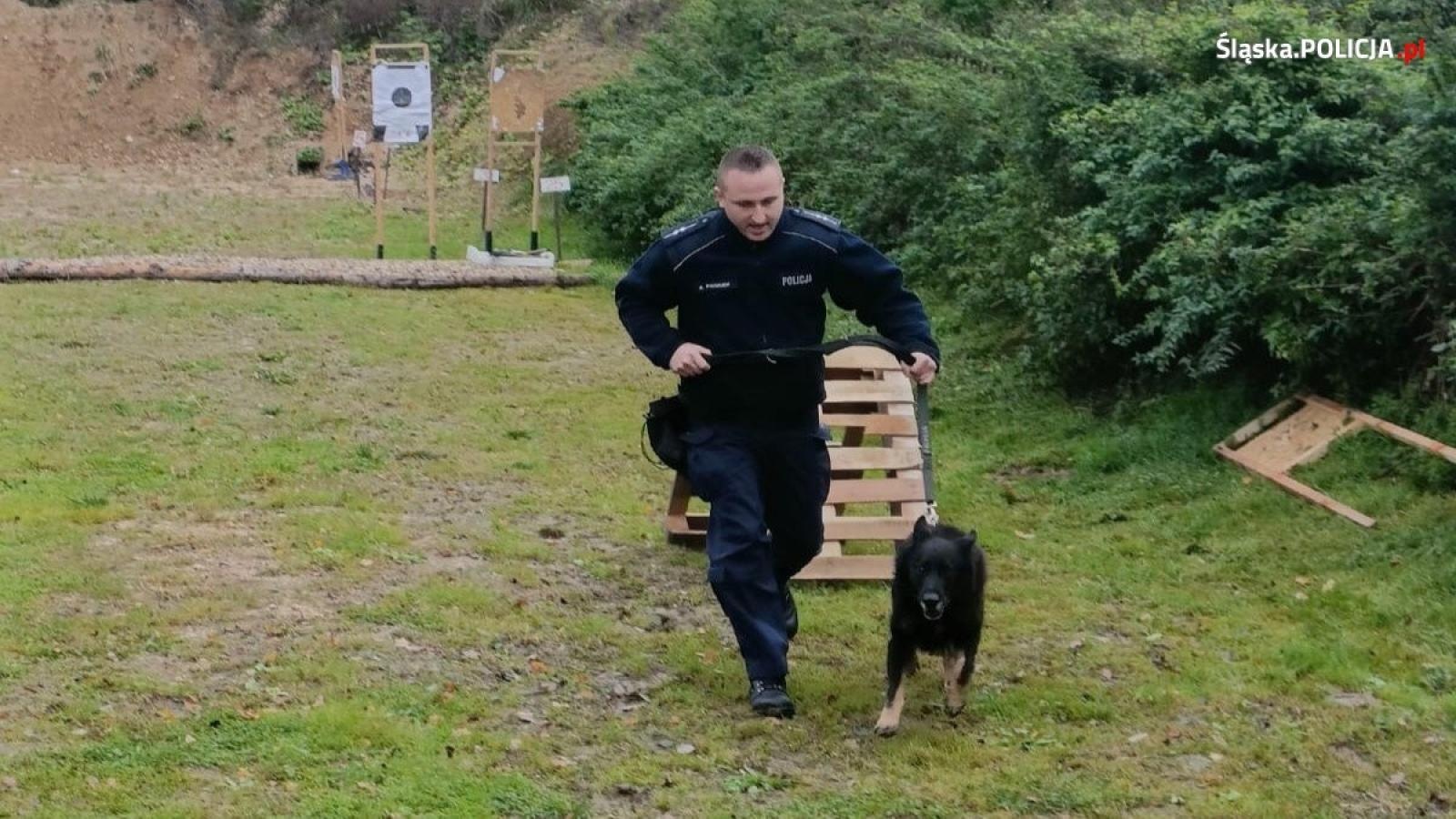 Zdjęcie w galerii na portalu naszraciborz.pl: Warsztaty szkoleniowe z czeskimi policjantami w ramach polsko-czeskiej współpracy kynologicznej wiadomości z regionu