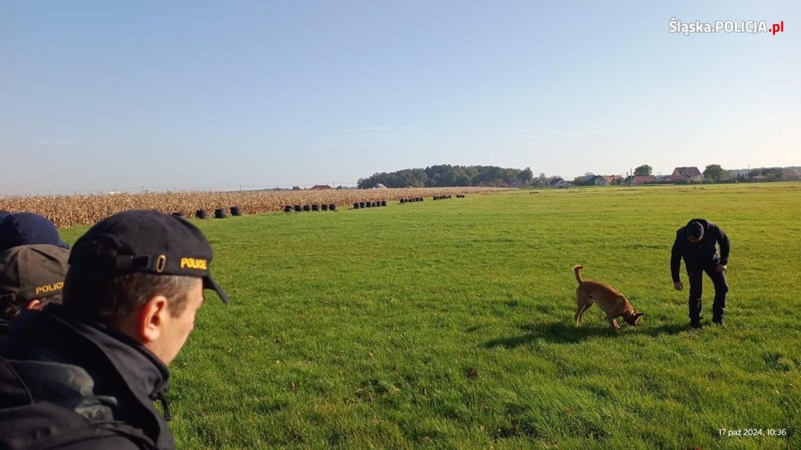 Zdjęcie w galerii na portalu naszraciborz.pl: Warsztaty szkoleniowe z czeskimi policjantami w ramach polsko-czeskiej współpracy kynologicznej wiadomości z regionu
