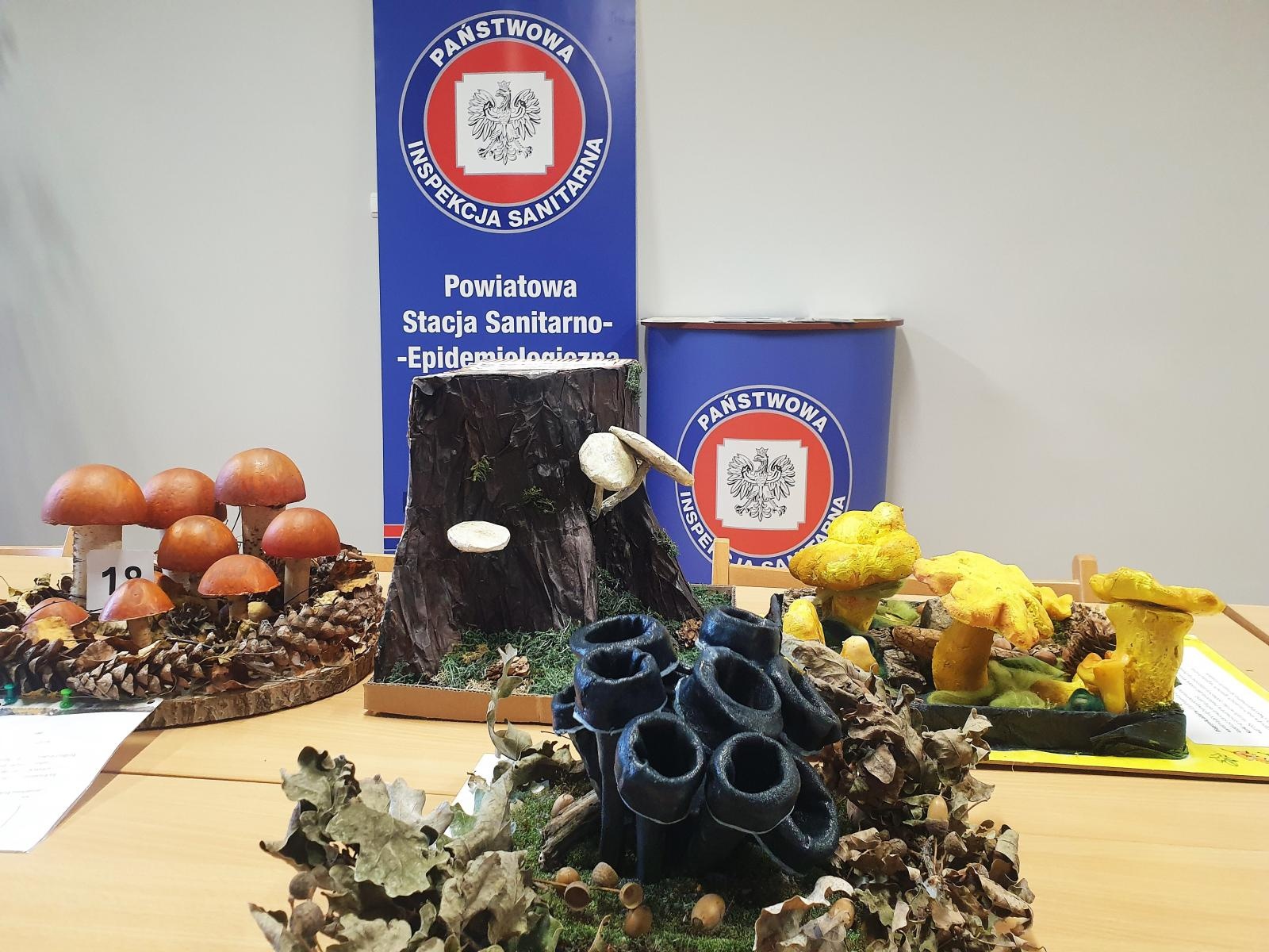 Zdjęcie w galerii na portalu naszraciborz.pl: Bezpieczne Grzybobranie 2024: nagrody za najlepsze modele grzybów wręczone wiadomości z regionu