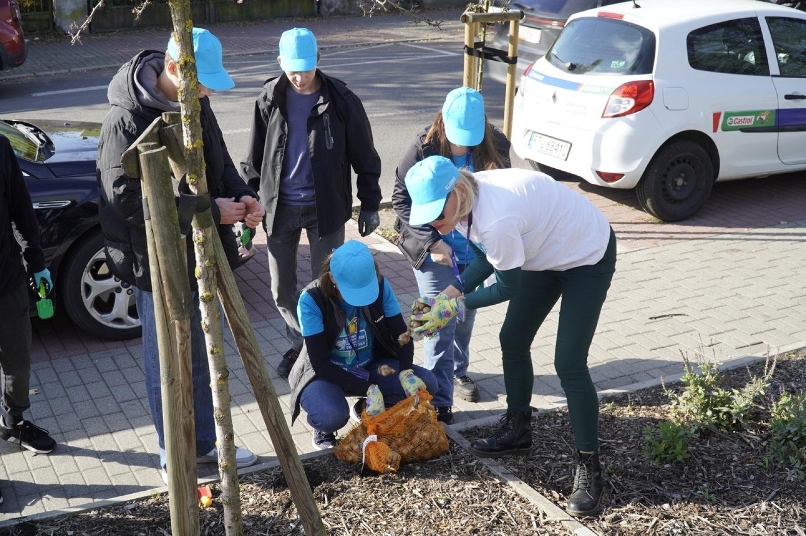 Zdjęcie w galerii na portalu naszraciborz.pl: W Raciborzu przybywa terenów z roślinnością wieloletnią wiadomości z regionu