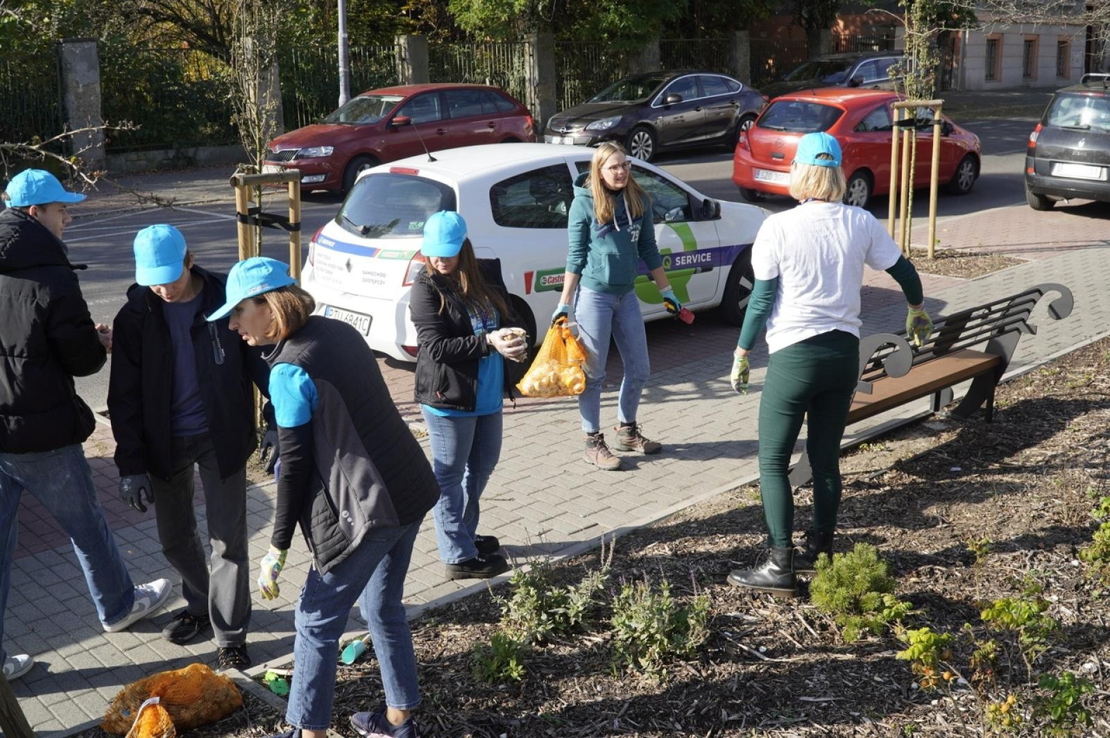 Zdjęcie w galerii na portalu naszraciborz.pl: W Raciborzu przybywa terenów z roślinnością wieloletnią wiadomości z regionu