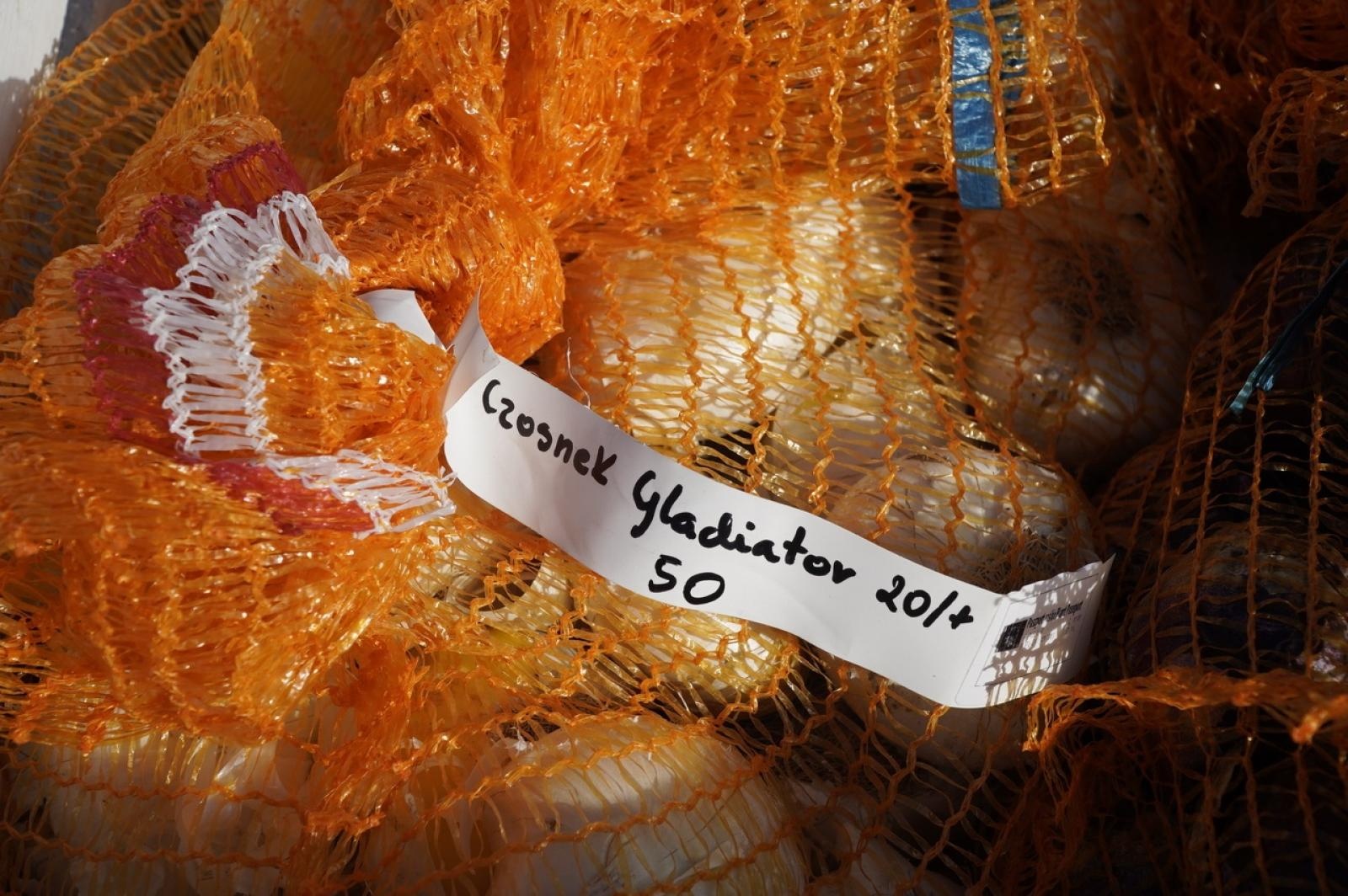 Zdjęcie w galerii na portalu naszraciborz.pl: W Raciborzu przybywa terenów z roślinnością wieloletnią wiadomości z regionu