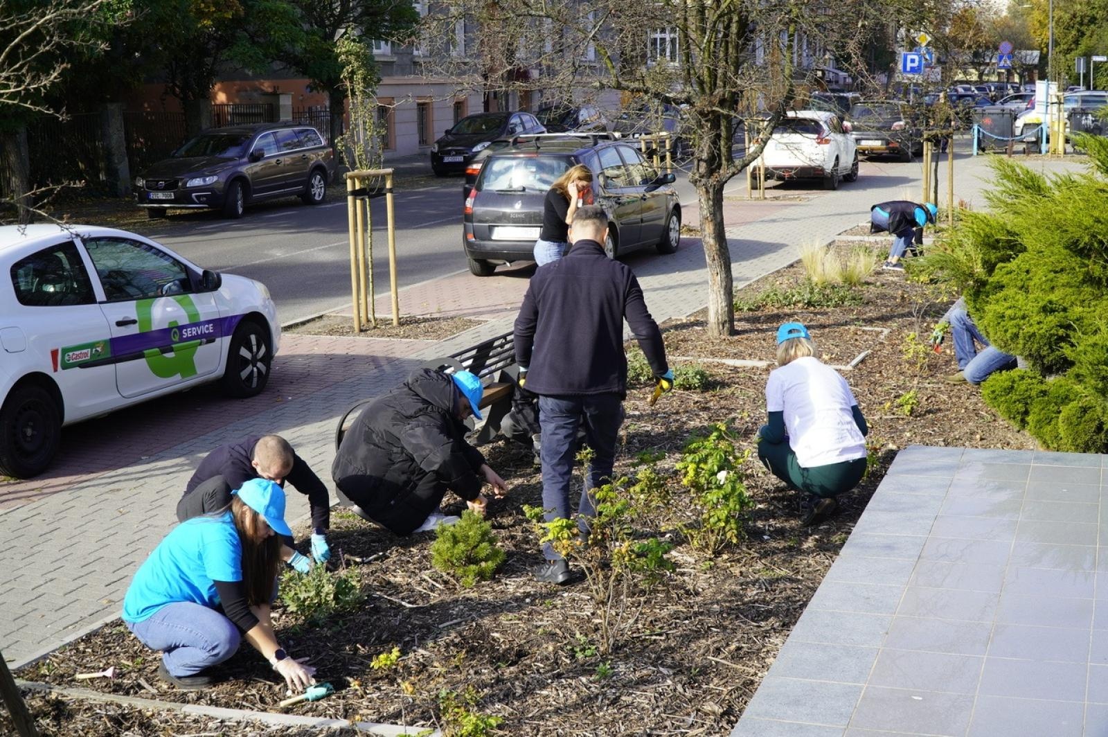 Zdjęcie w galerii na portalu naszraciborz.pl: W Raciborzu przybywa terenów z roślinnością wieloletnią wiadomości z regionu