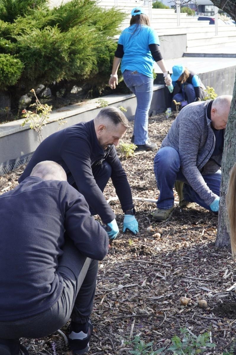 Zdjęcie w galerii na portalu naszraciborz.pl: W Raciborzu przybywa terenów z roślinnością wieloletnią wiadomości z regionu