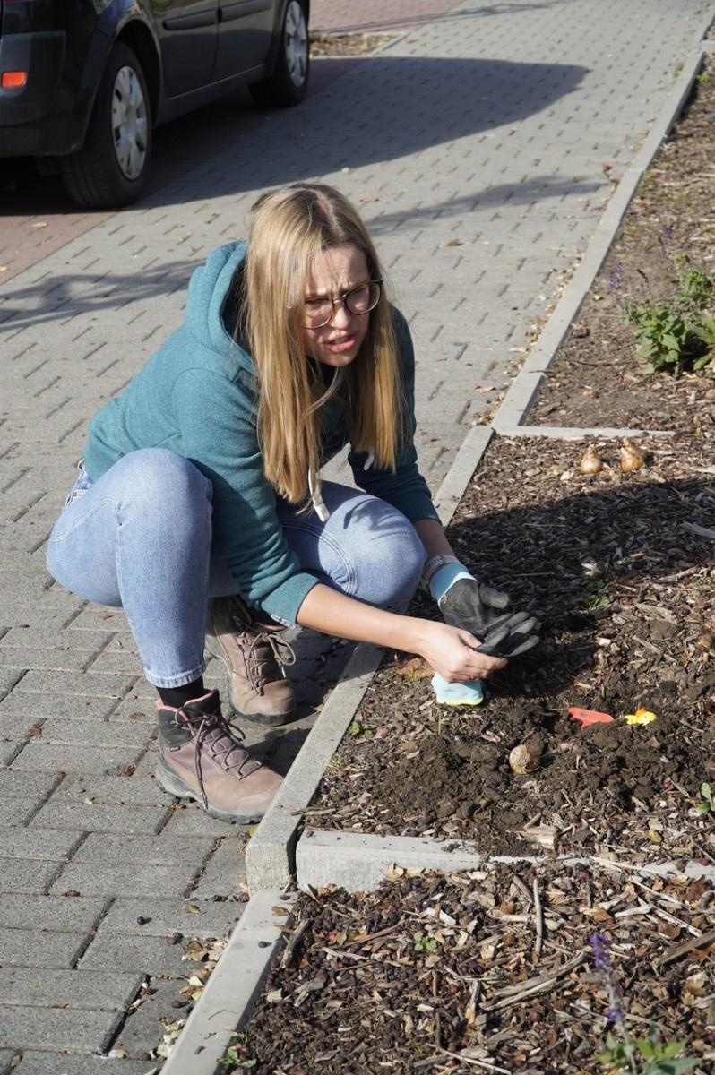 Zdjęcie w galerii na portalu naszraciborz.pl: W Raciborzu przybywa terenów z roślinnością wieloletnią wiadomości z regionu