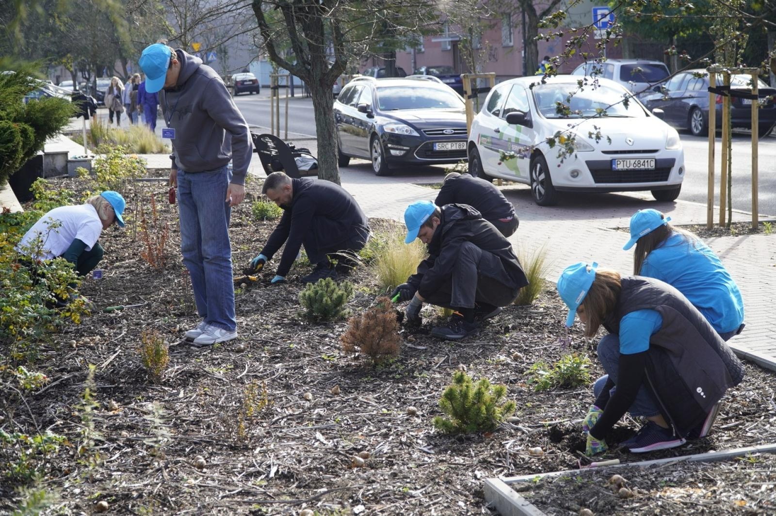 Zdjęcie w galerii na portalu naszraciborz.pl: W Raciborzu przybywa terenów z roślinnością wieloletnią wiadomości z regionu