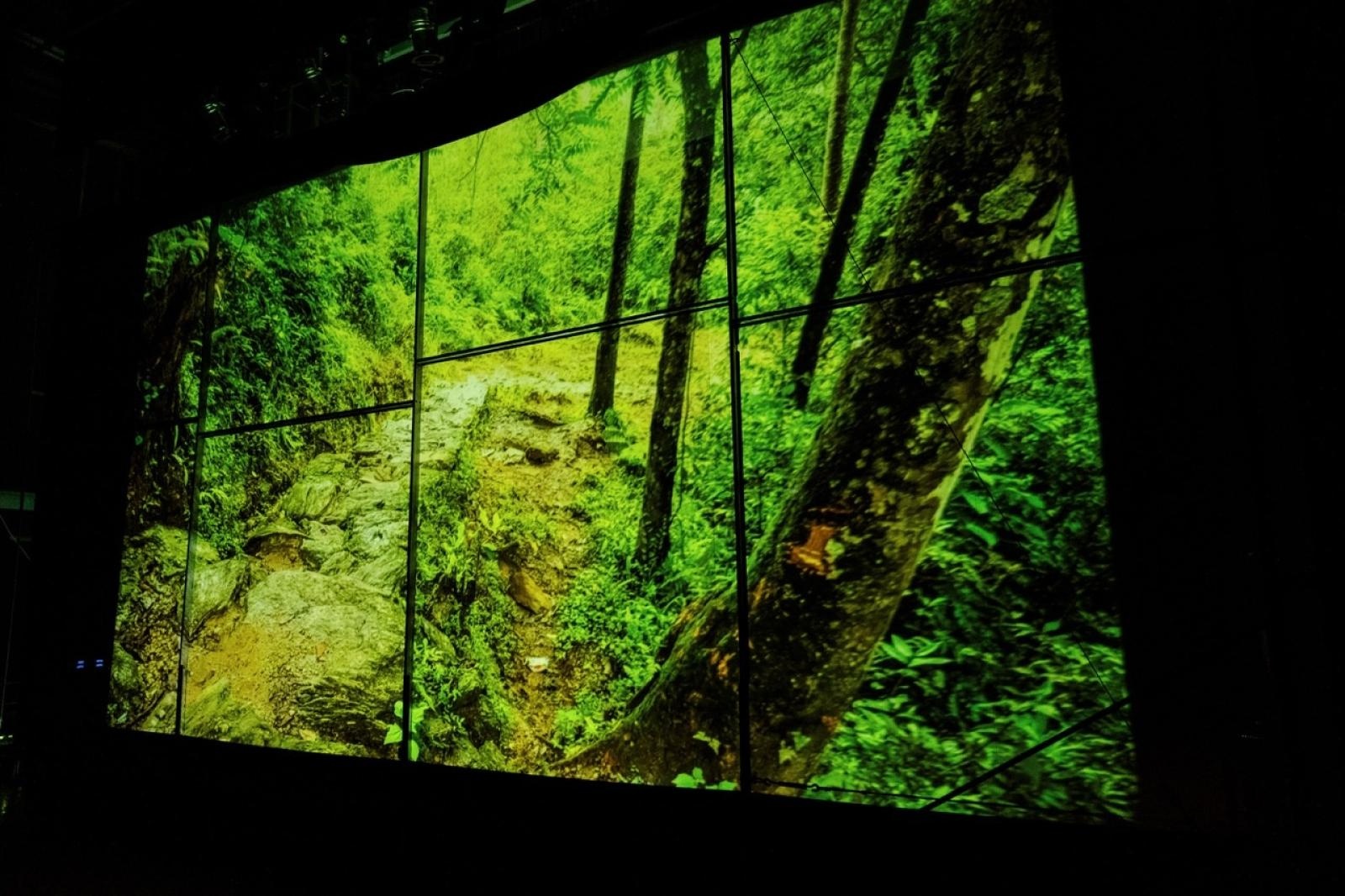 Zdjęcie w galerii na portalu naszraciborz.pl: XX jubileuszowa edycja Wiatraków przeszła do historii wiadomości z regionu