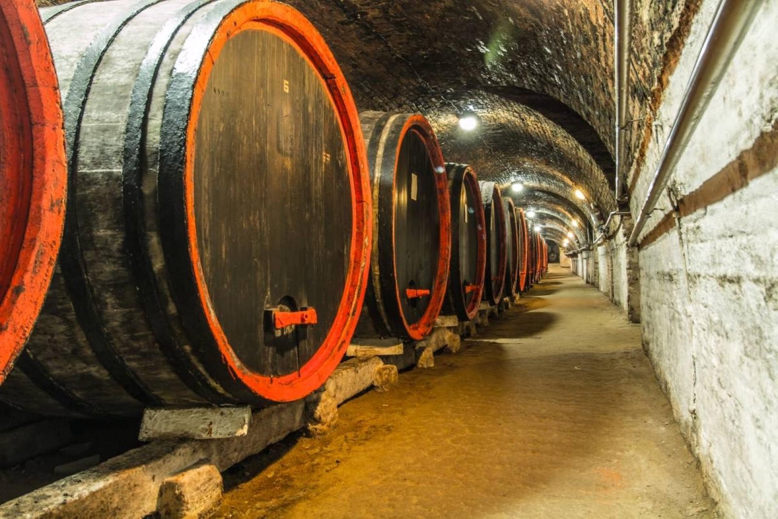 Zdjęcie w galerii na portalu naszraciborz.pl: Winny Sylwester na Morawach – In Vino Veritas! wiadomości z regionu