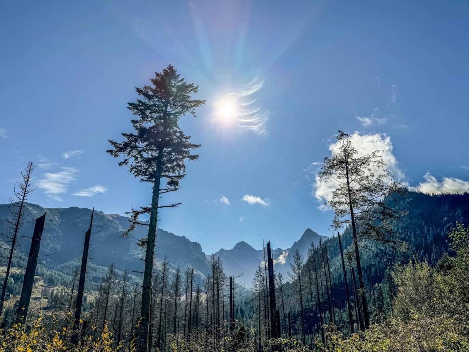 Zdjęcie w galerii na portalu naszraciborz.pl: Niezapomniane Tatry – polsko-ukraińska raciborska wyprawa w góry  wiadomości z regionu