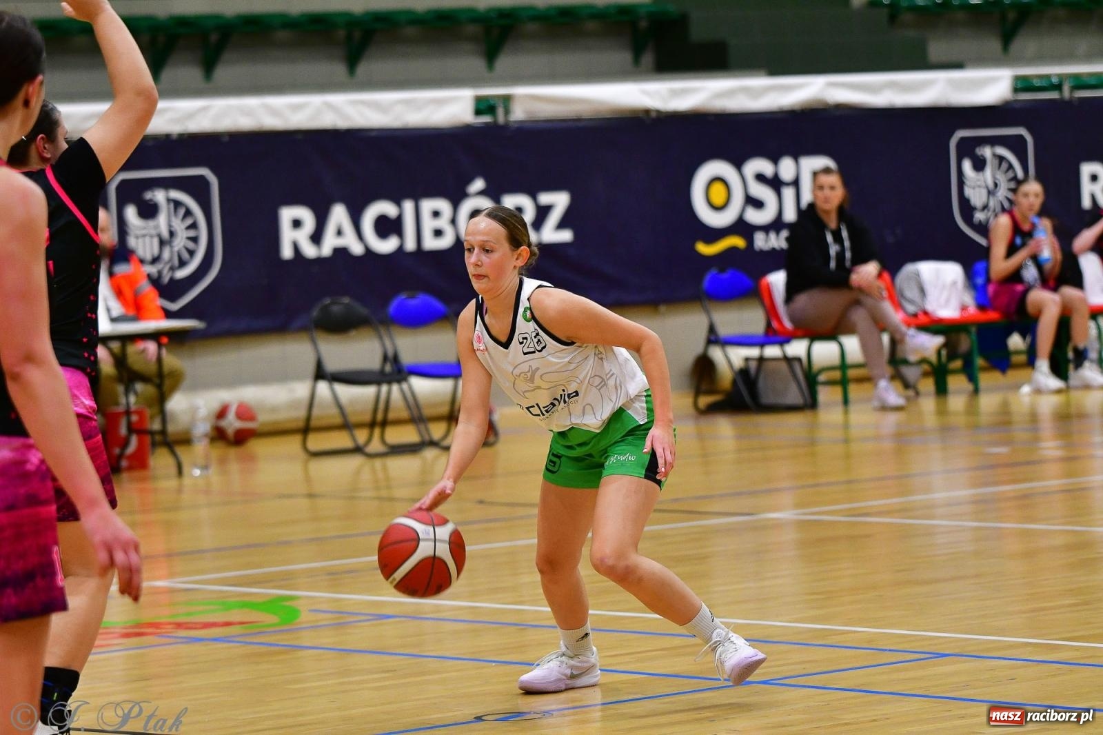 Zdjęcie w galerii na portalu naszraciborz.pl: Koszykówka. Cenna wygrana RKK AZS Racibórz [FOTO] wiadomości z regionu