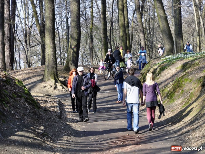 Zdjęcie w galerii na portalu naszraciborz.pl: Tłumy w Arboretum Bramy Morawskiej wiadomości z regionu