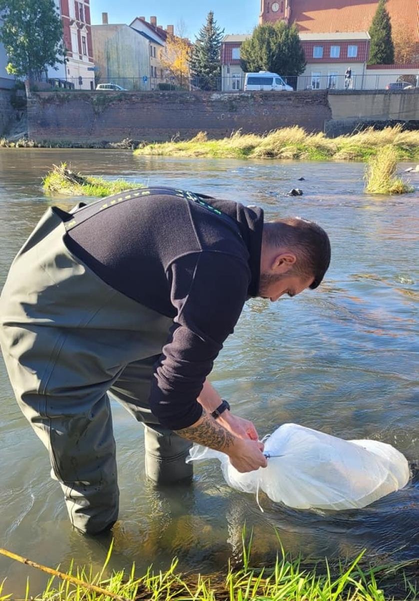 Zdjęcie w galerii na portalu naszraciborz.pl: Akcja ODROdzenie wiadomości z regionu