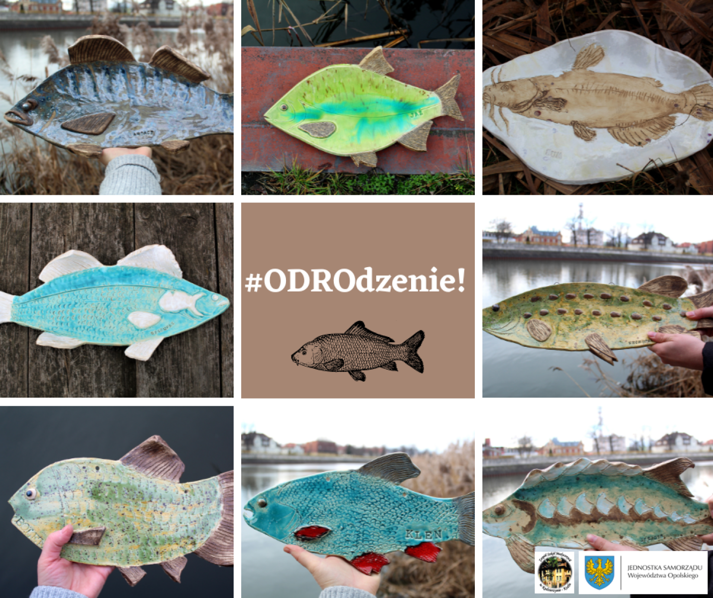 Zdjęcie w galerii na portalu naszraciborz.pl: Akcja ODROdzenie wiadomości z regionu