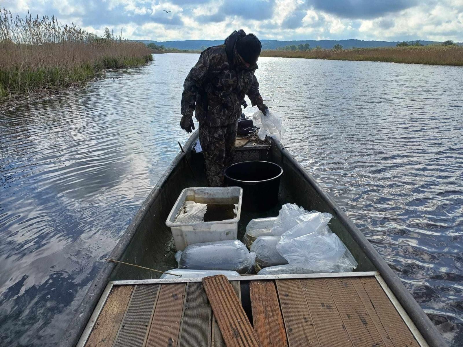 Zdjęcie w galerii na portalu naszraciborz.pl: Akcja ODROdzenie wiadomości z regionu