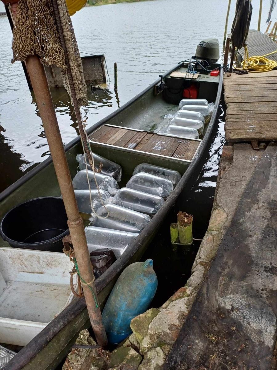 Zdjęcie w galerii na portalu naszraciborz.pl: Akcja ODROdzenie wiadomości z regionu