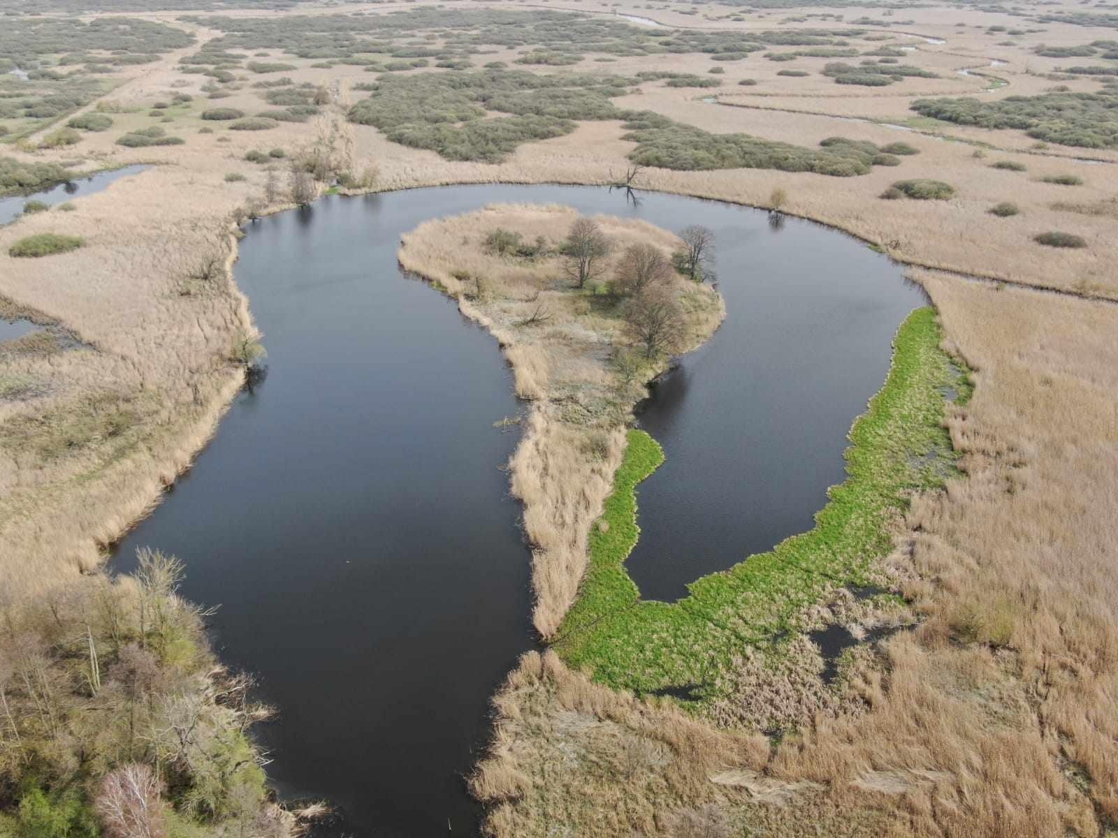 Zdjęcie w galerii na portalu naszraciborz.pl: Akcja ODROdzenie wiadomości z regionu