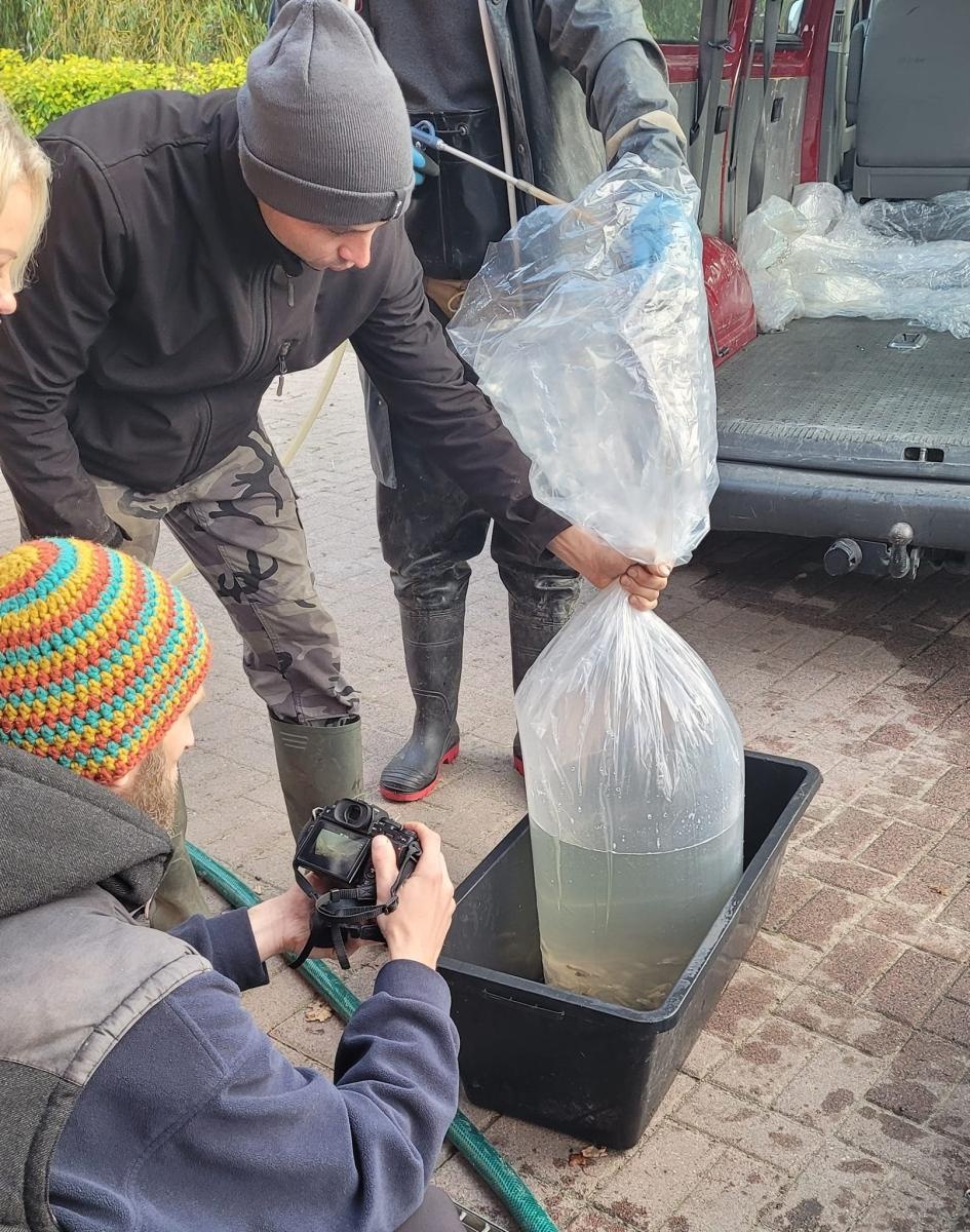 Zdjęcie w galerii na portalu naszraciborz.pl: Akcja ODROdzenie wiadomości z regionu