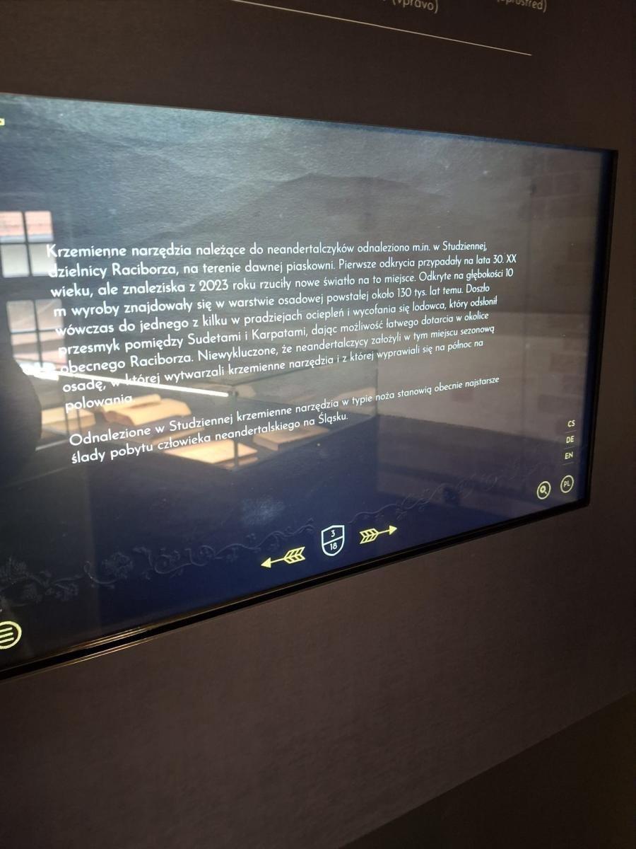 Zdjęcie w galerii na portalu naszraciborz.pl: Zespół Szkolno-Przedszkolny nr 4 w Raciborzu gościł pedagogów z niemieckiej szkoły partnerskiej z Osling wiadomości z regionu