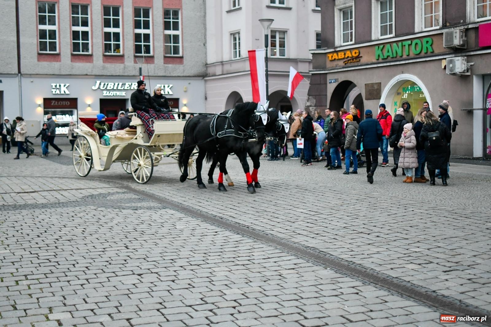 Zdjęcie w galerii na portalu naszraciborz.pl: Piknik Niepodległa na raciborskim rynku zgromadził tłumy mieszkańców wiadomości z regionu