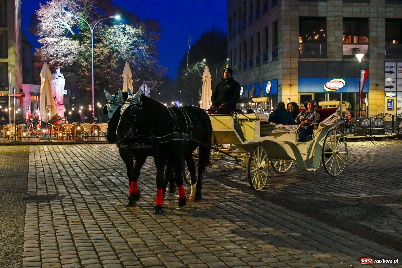 Zdjęcie w galerii na portalu naszraciborz.pl: Piknik Niepodległa na raciborskim rynku zgromadził tłumy mieszkańców wiadomości z regionu
