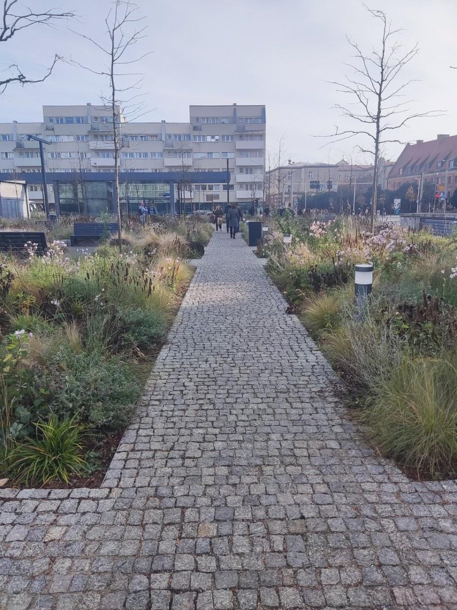 Zdjęcie w galerii na portalu naszraciborz.pl: Konferencja Alumni 2024 - Partnerska Inicjatywa Miast wiadomości z regionu