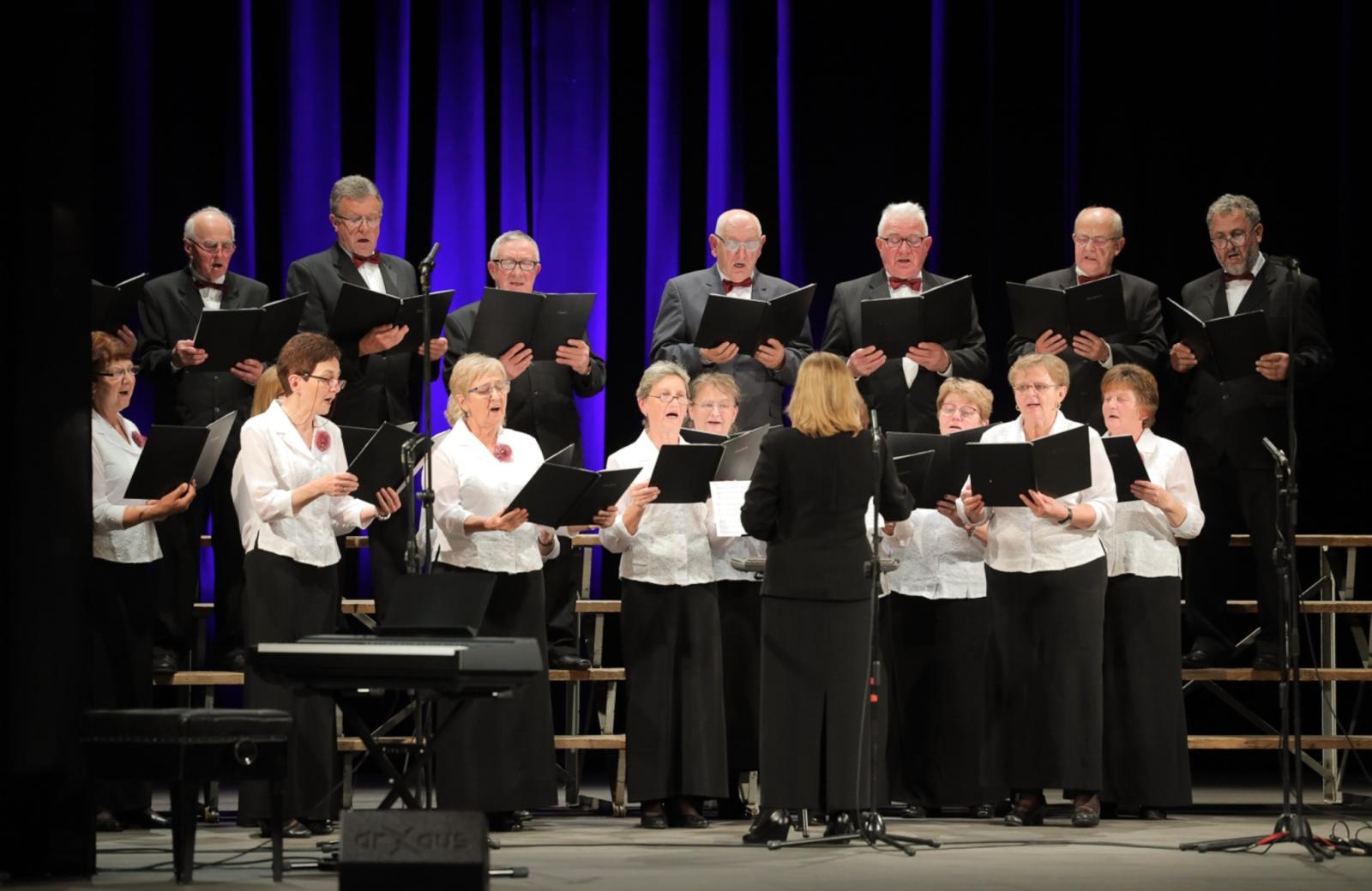 Zdjęcie w galerii na portalu naszraciborz.pl: Co nam w duszy gra. Zaproszenie na koncert wiadomości z regionu