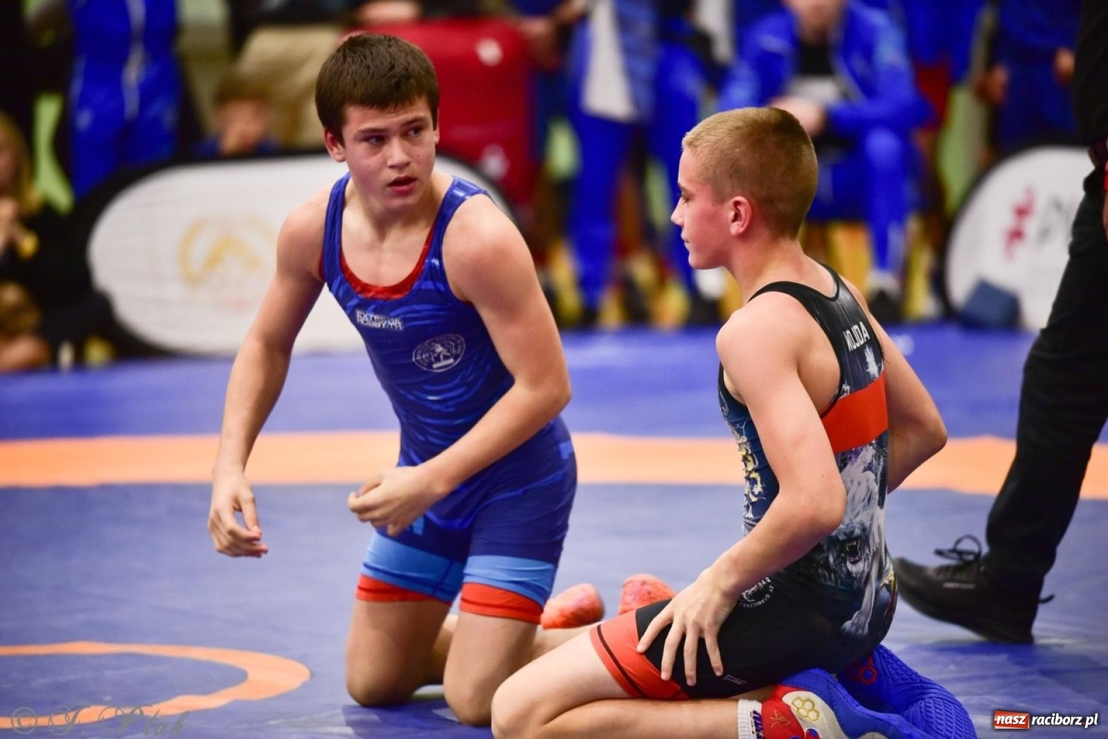 Zdjęcie w galerii na portalu naszraciborz.pl: XIV Mistrzostwa Polski Młodzików U14 w Raciborzu – sportowe emocje w Arenie OSiR wiadomości z regionu