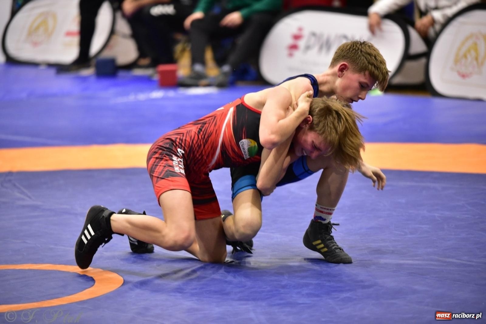 Zdjęcie w galerii na portalu naszraciborz.pl: XIV Mistrzostwa Polski Młodzików U14 w Raciborzu – sportowe emocje w Arenie OSiR wiadomości z regionu