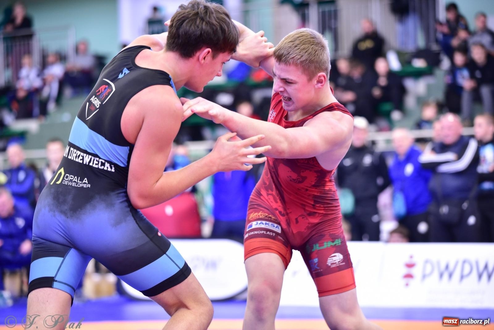 Zdjęcie w galerii na portalu naszraciborz.pl: Z dwoma medalami unici kończą mistrzostwa Polski U-14 wiadomości z regionu