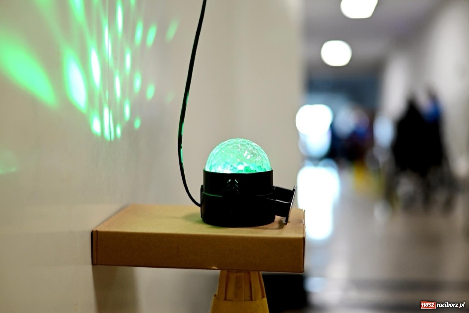 Zdjęcie w galerii na portalu naszraciborz.pl: Międzynarodowy Dzień Studenta 2024 w ANS – podsumowanie wydarzenia wiadomości z regionu