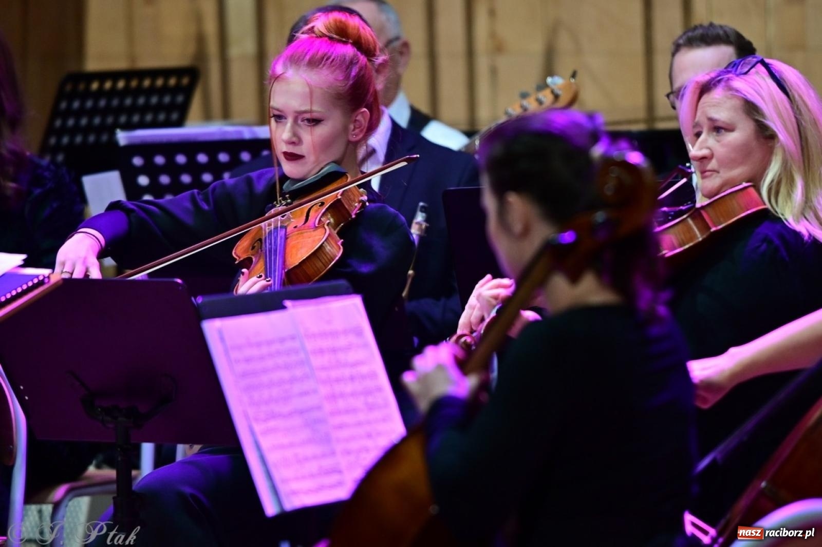 Zdjęcie w galerii na portalu naszraciborz.pl: Raciborska Gala Kultury i Wolontariatu 2024 [FOTO i WIDEO] wiadomości z regionu