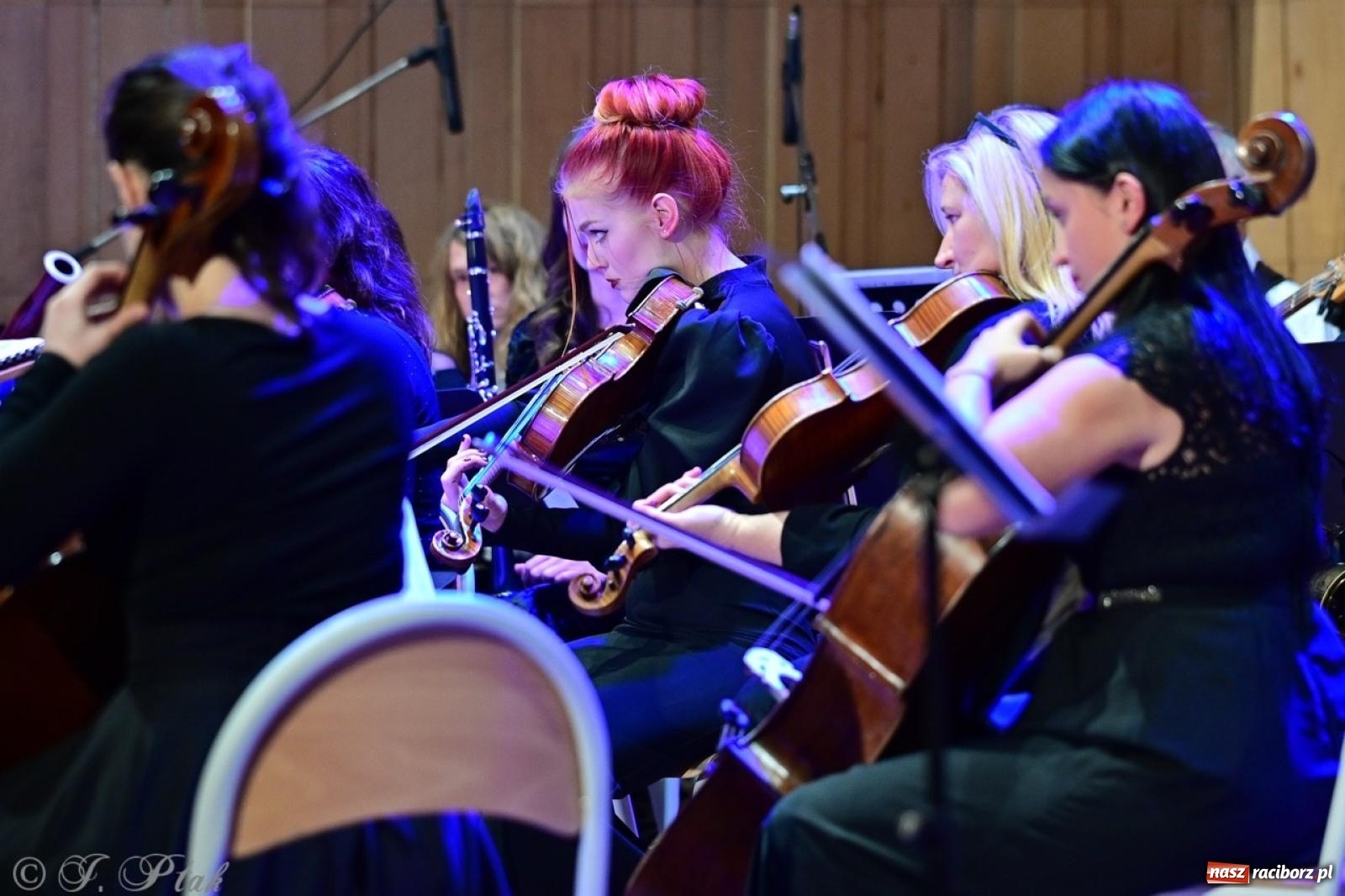 Zdjęcie w galerii na portalu naszraciborz.pl: Raciborska Gala Kultury i Wolontariatu 2024 [FOTO i WIDEO] wiadomości z regionu