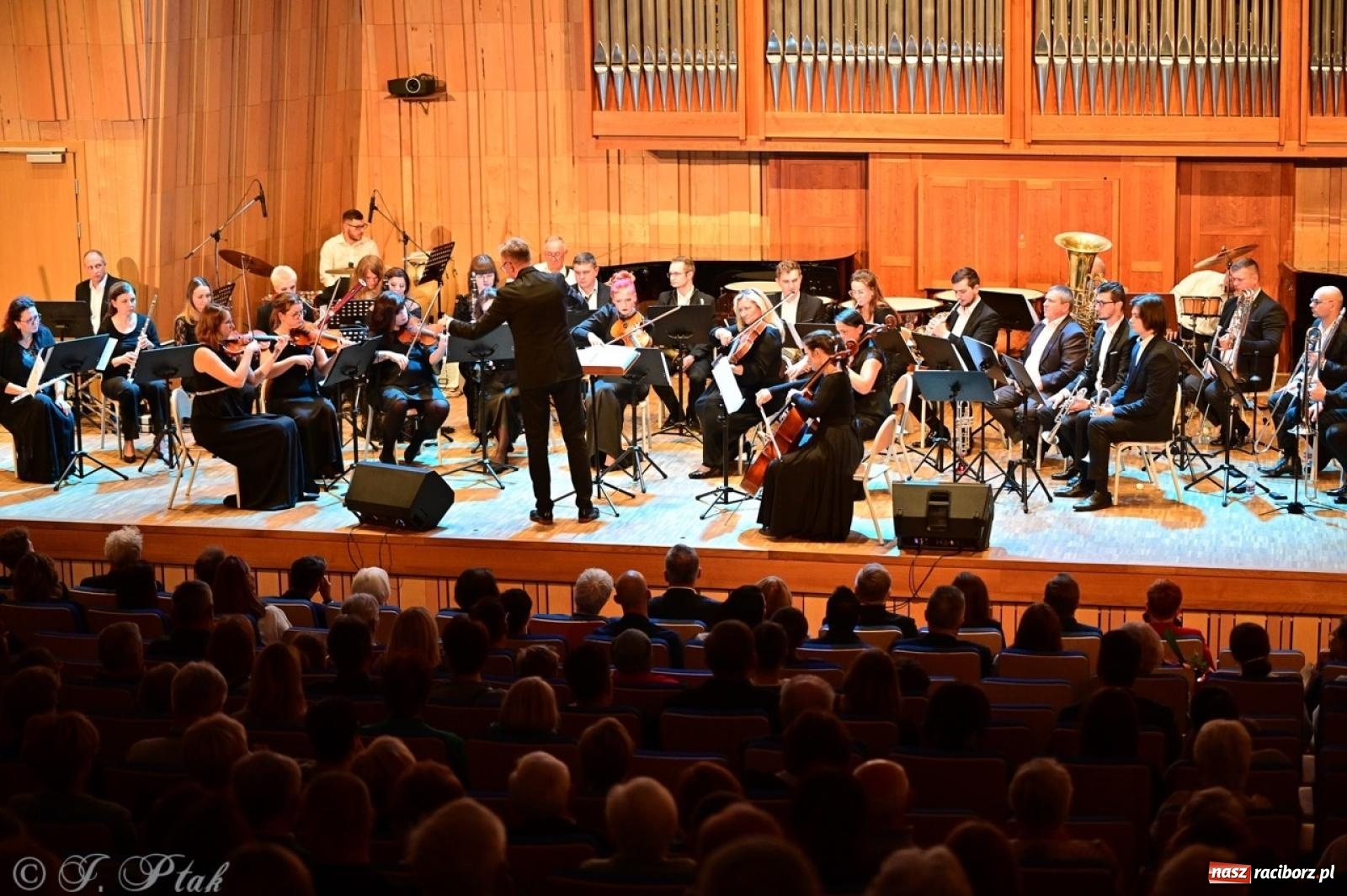 Zdjęcie w galerii na portalu naszraciborz.pl: Raciborska Gala Kultury i Wolontariatu 2024 [FOTO i WIDEO] wiadomości z regionu