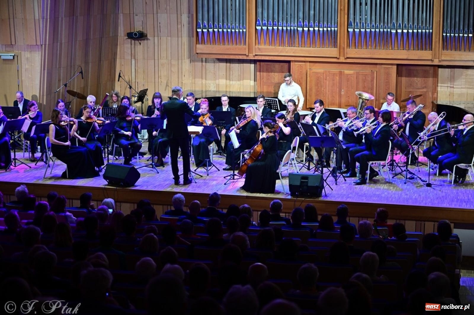Zdjęcie w galerii na portalu naszraciborz.pl: Raciborska Gala Kultury i Wolontariatu 2024 [FOTO i WIDEO] wiadomości z regionu