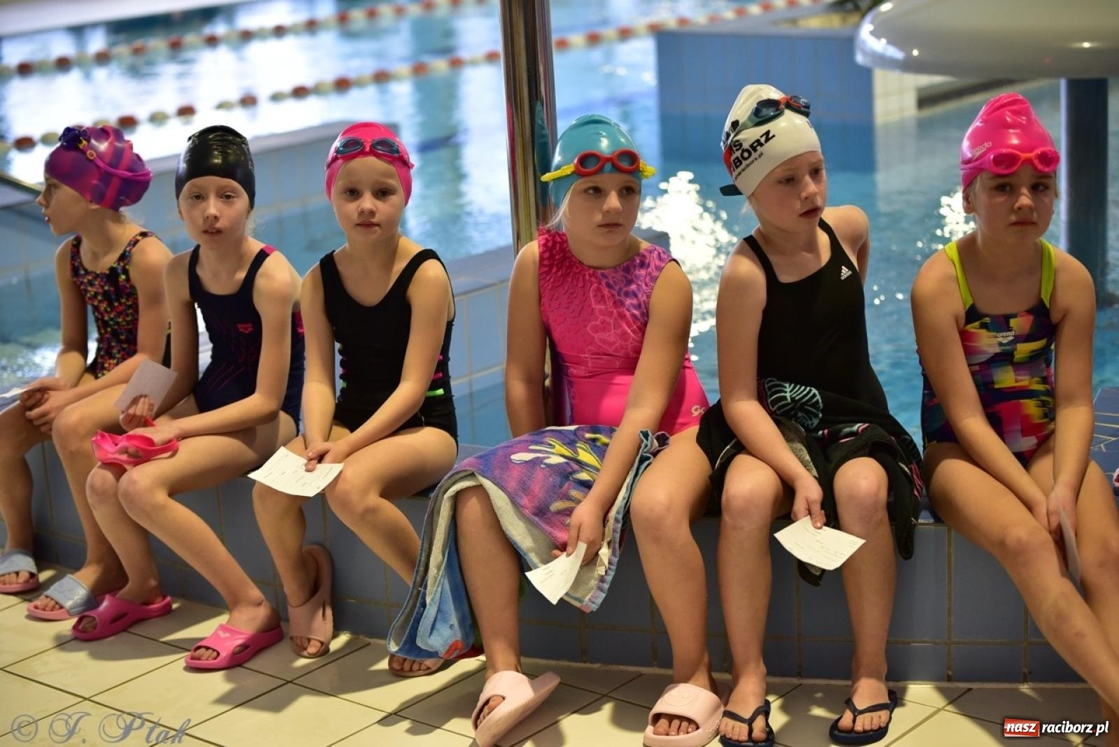 Zdjęcie w galerii na portalu naszraciborz.pl: IV Mistrzostwa Raciborza Szkół Podstawowych w pływaniu – sportowa rywalizacja na H2Ostróg zakończona wiadomości z regionu